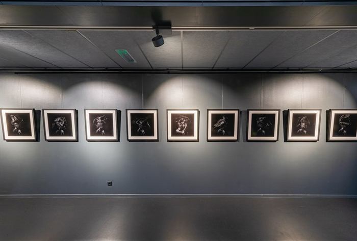 Zwart-witfoto's in lijsten aan een blauwgrijze wand