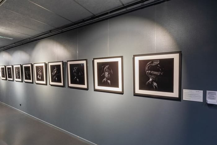 Rij ingelijste zwart-witfoto's in de gang